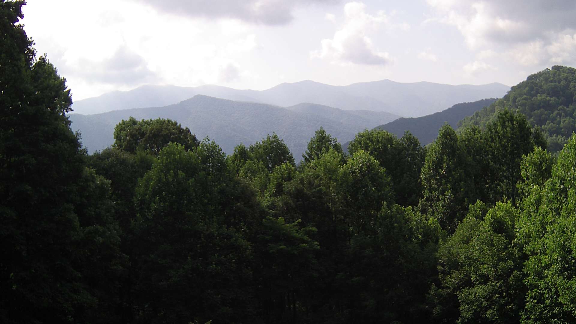 click for next image... slideshow image