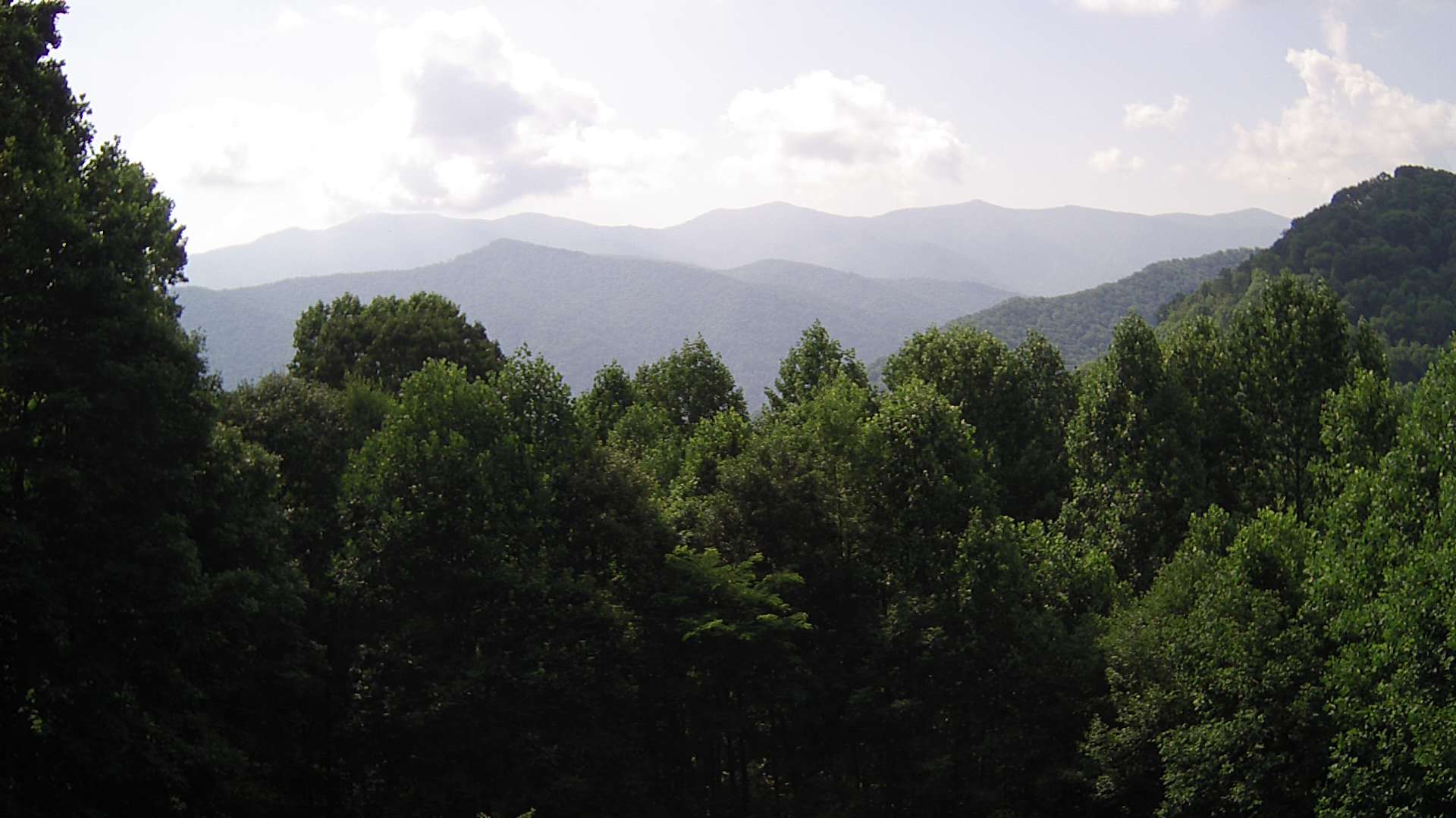 click for next image... slideshow image