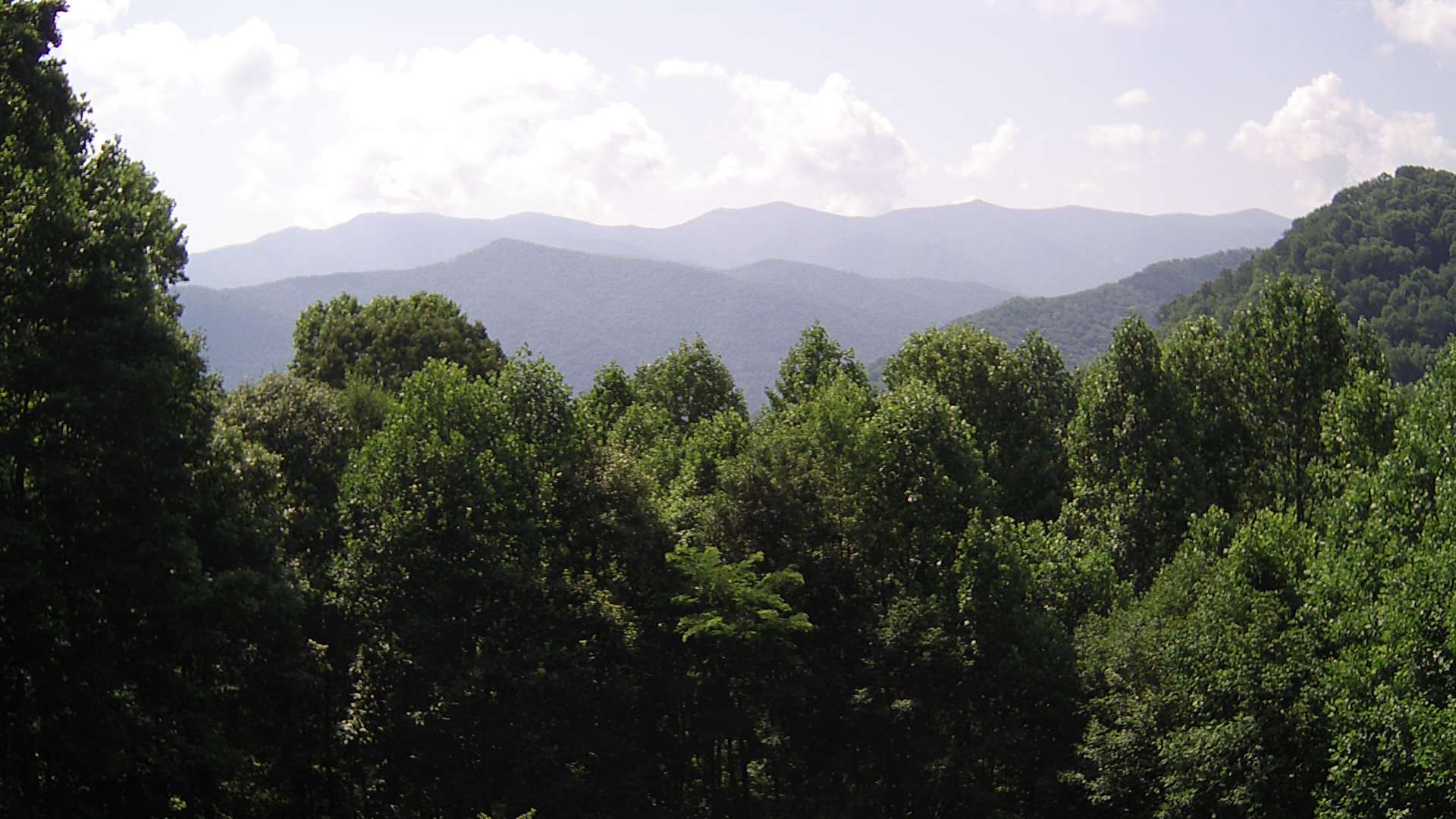 click for next image... slideshow image