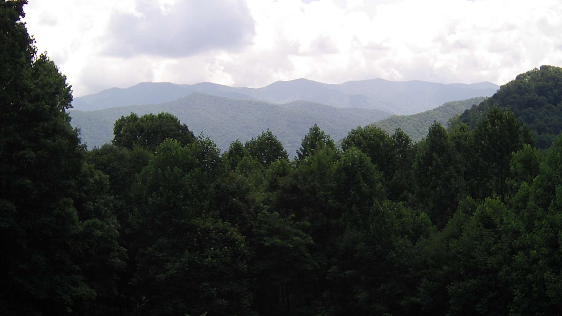 click for next image... slideshow image