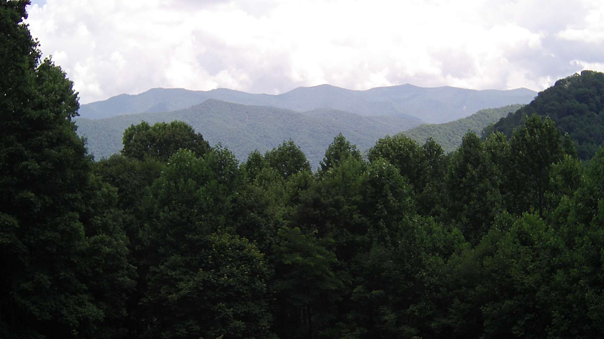 click for next image... slideshow image