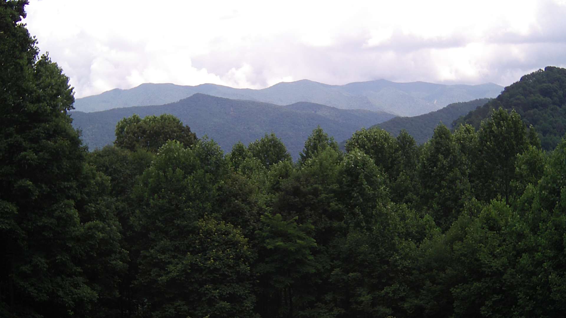 click for next image... slideshow image