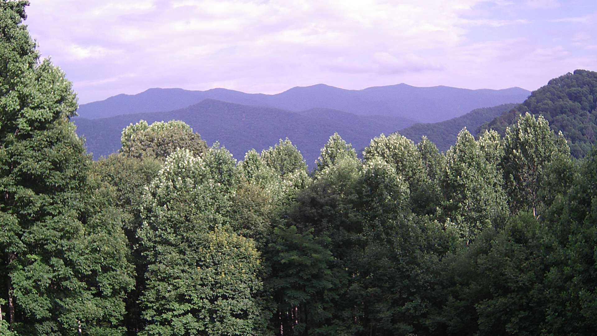 click for next image... slideshow image