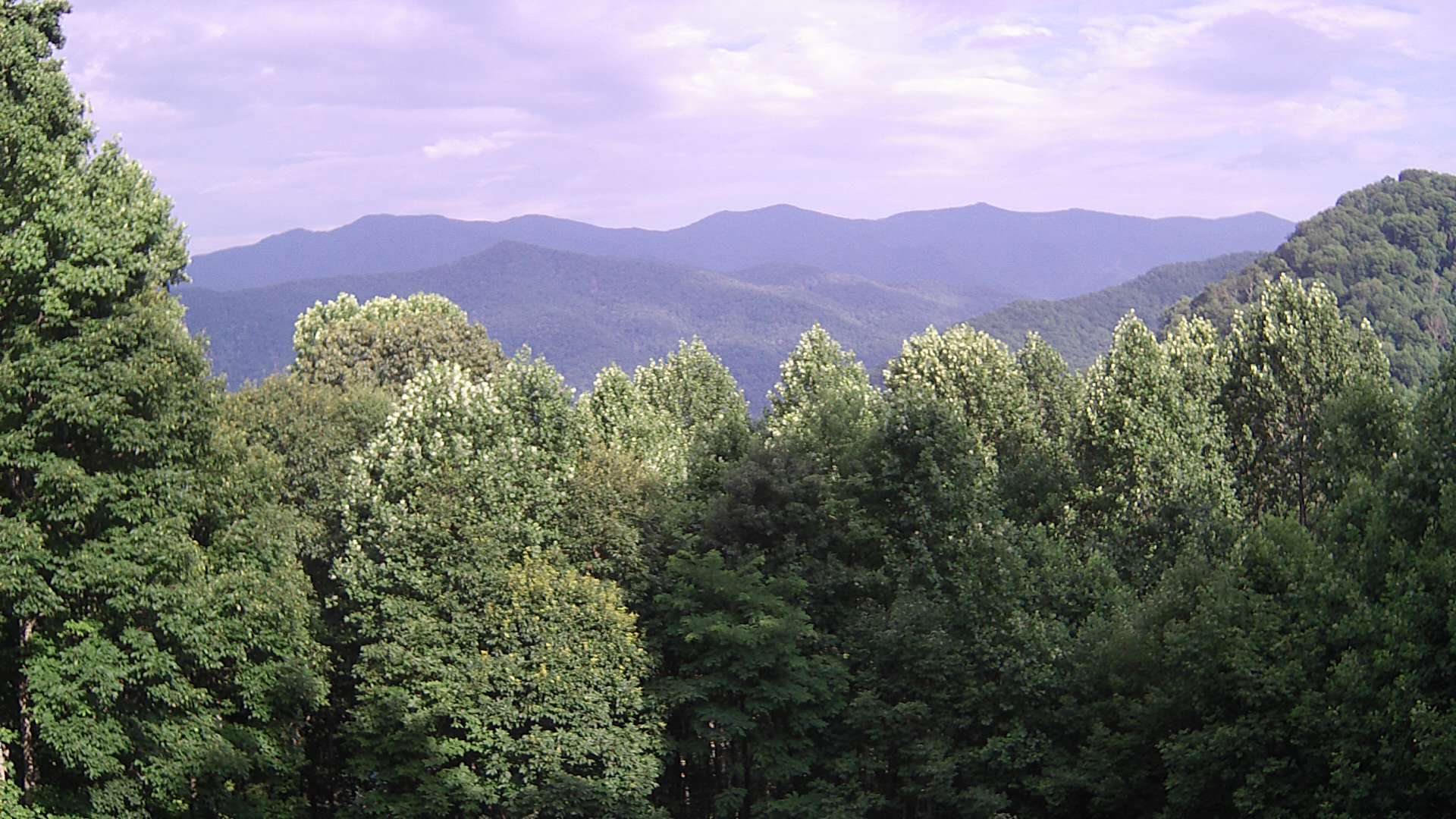 click for next image... slideshow image