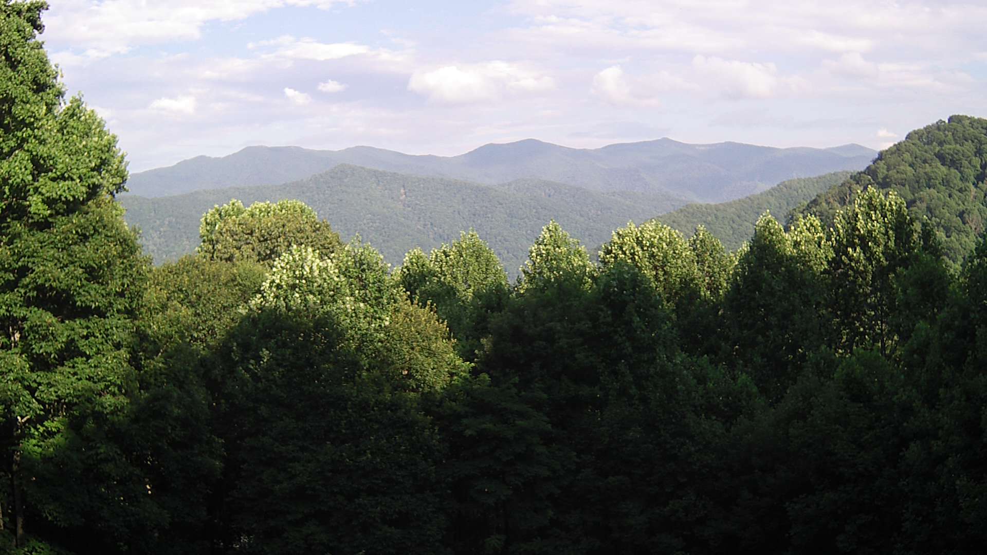 click for next image... slideshow image