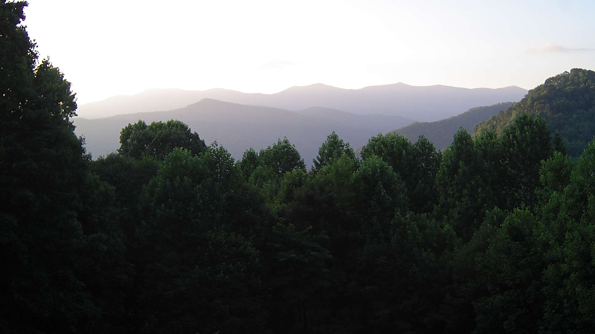 click for next image... slideshow image