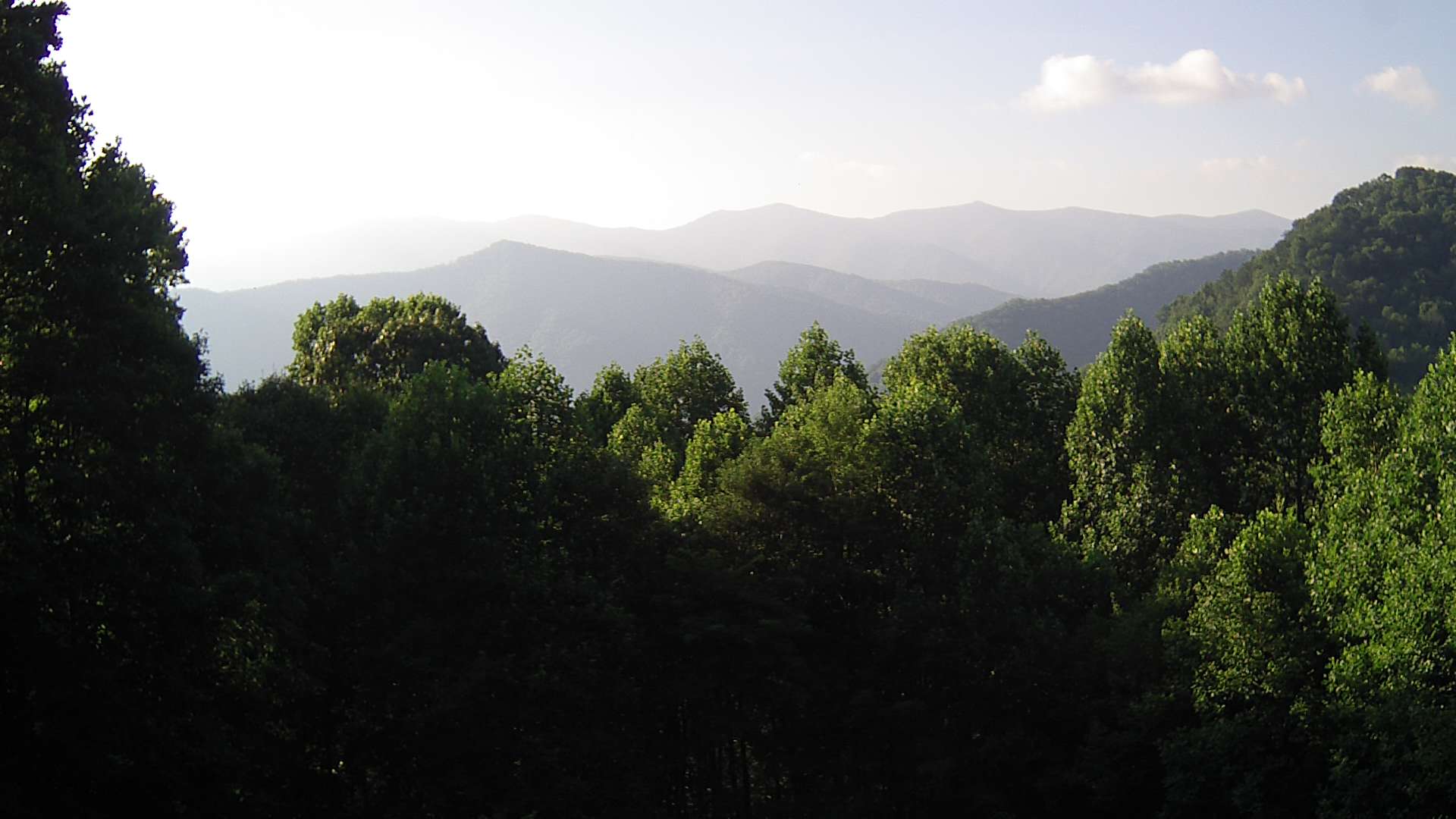 click for next image... slideshow image