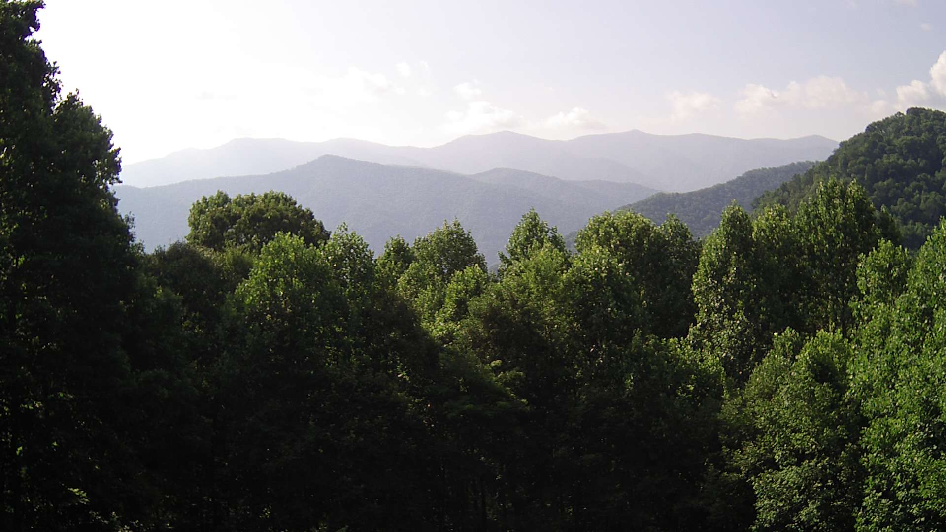 click for next image... slideshow image