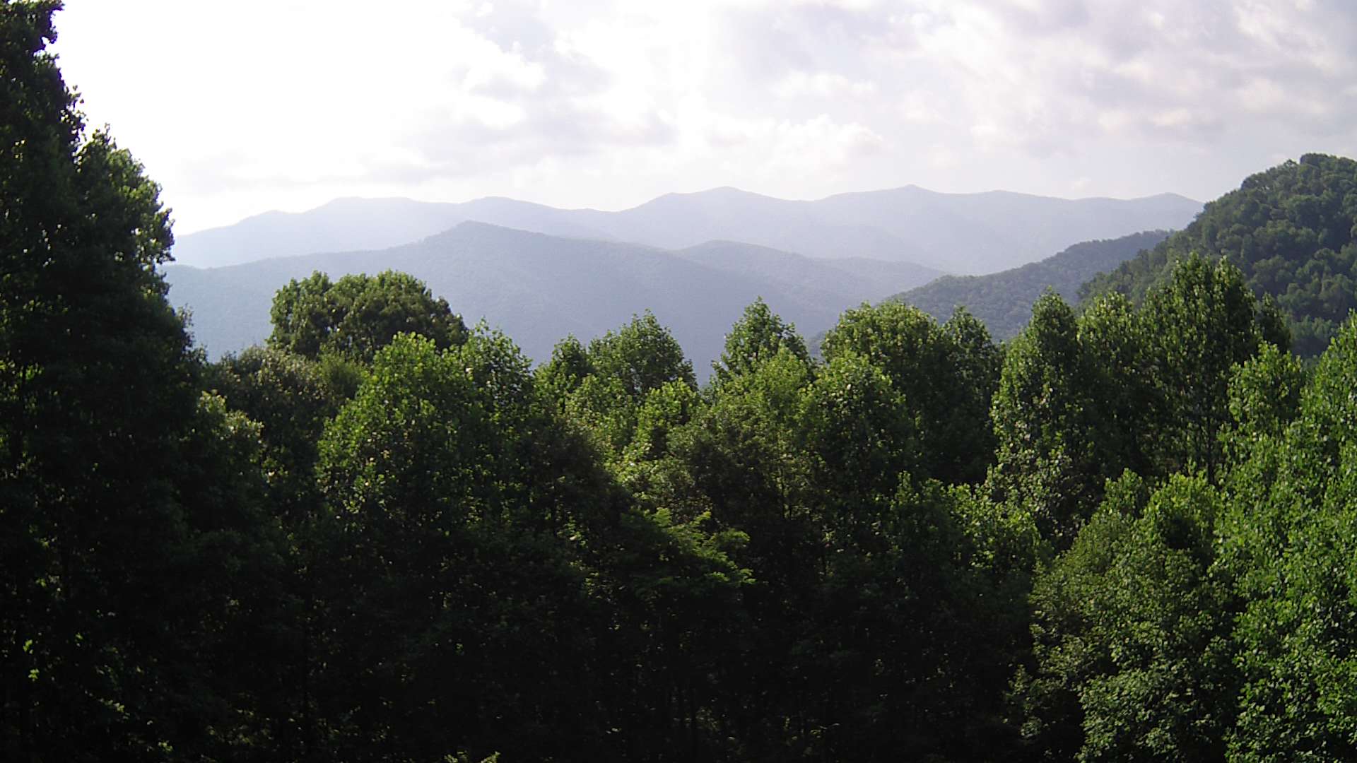 click for next image... slideshow image