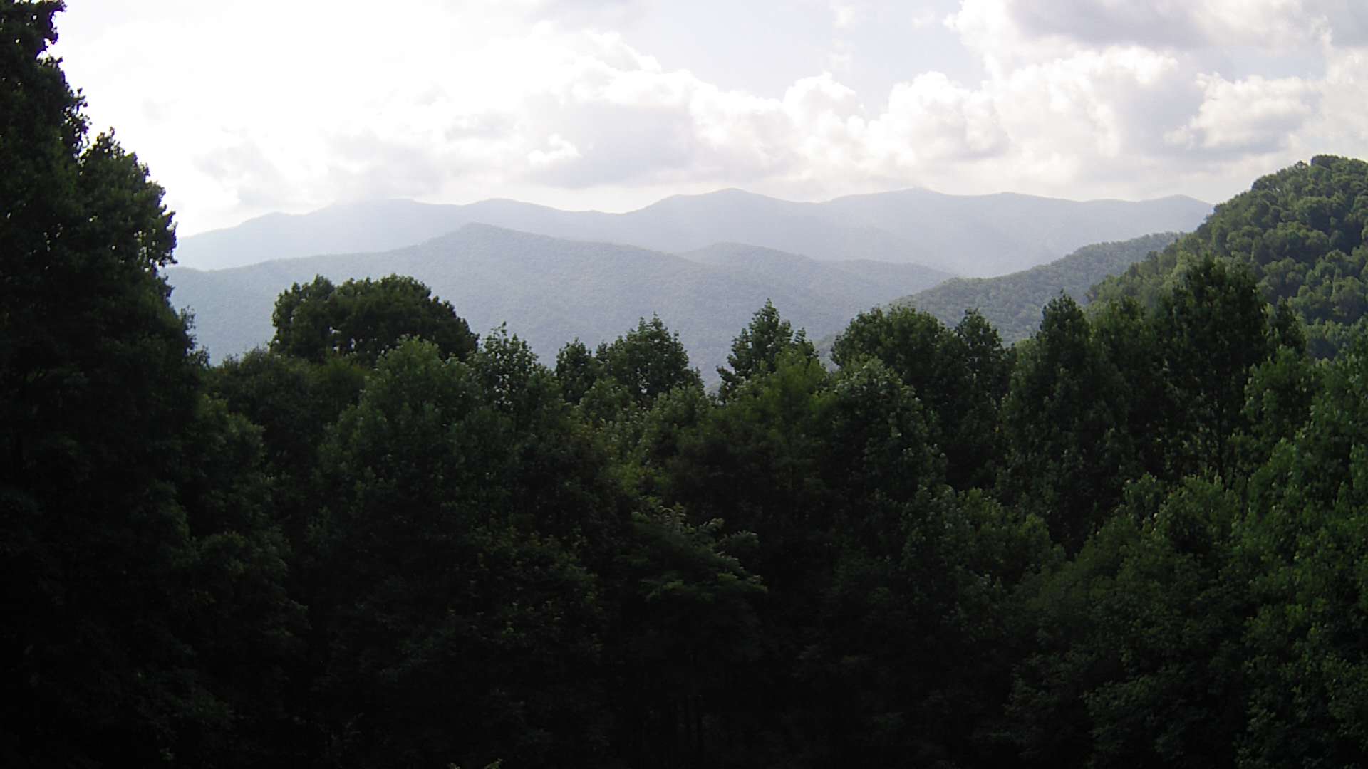 click for next image... slideshow image