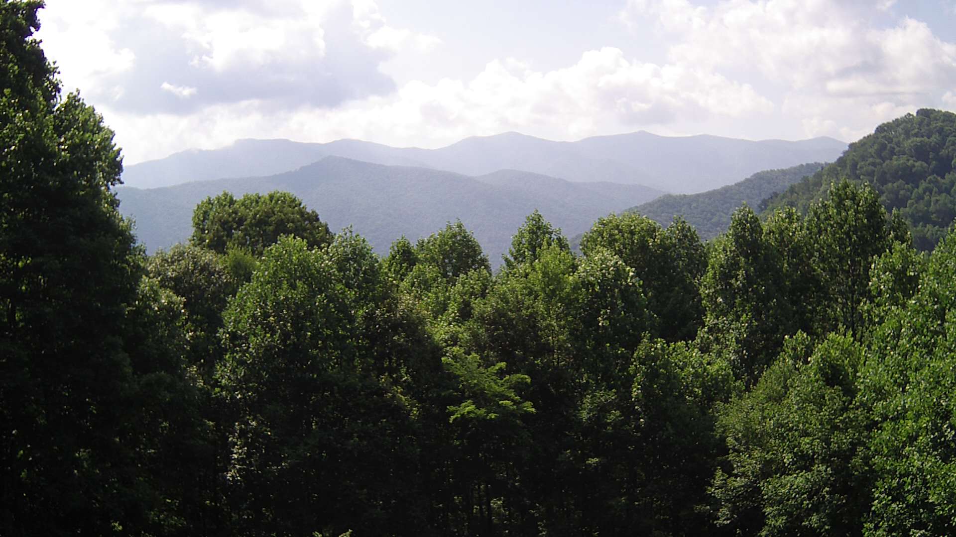 click for next image... slideshow image