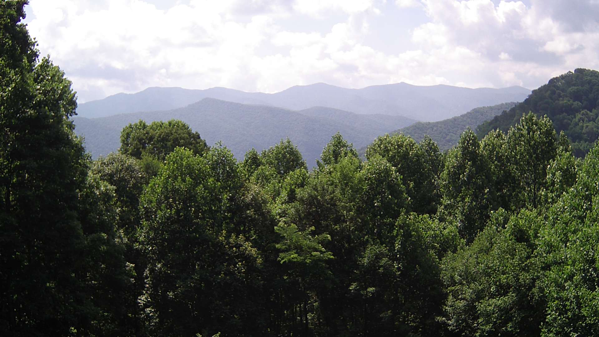 click for next image... slideshow image