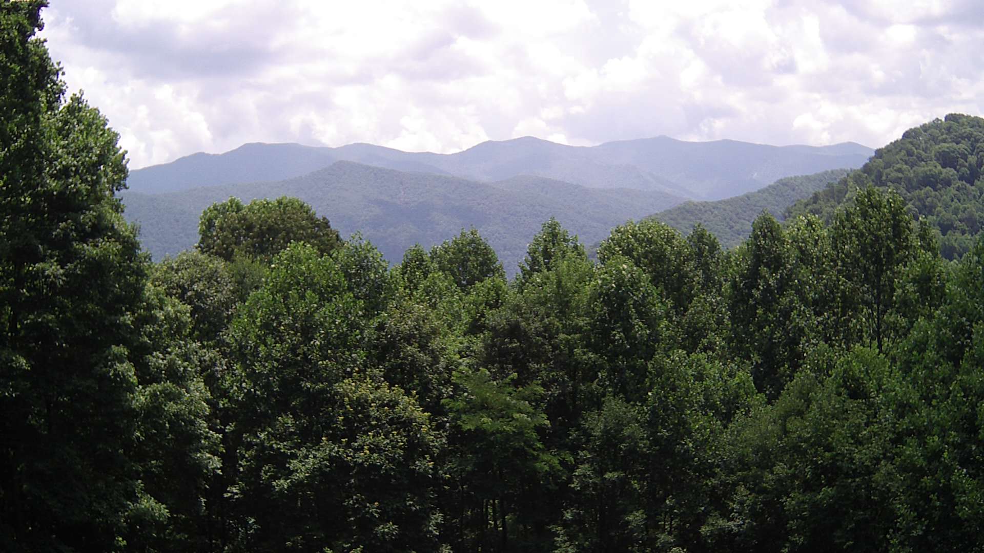 click for next image... slideshow image
