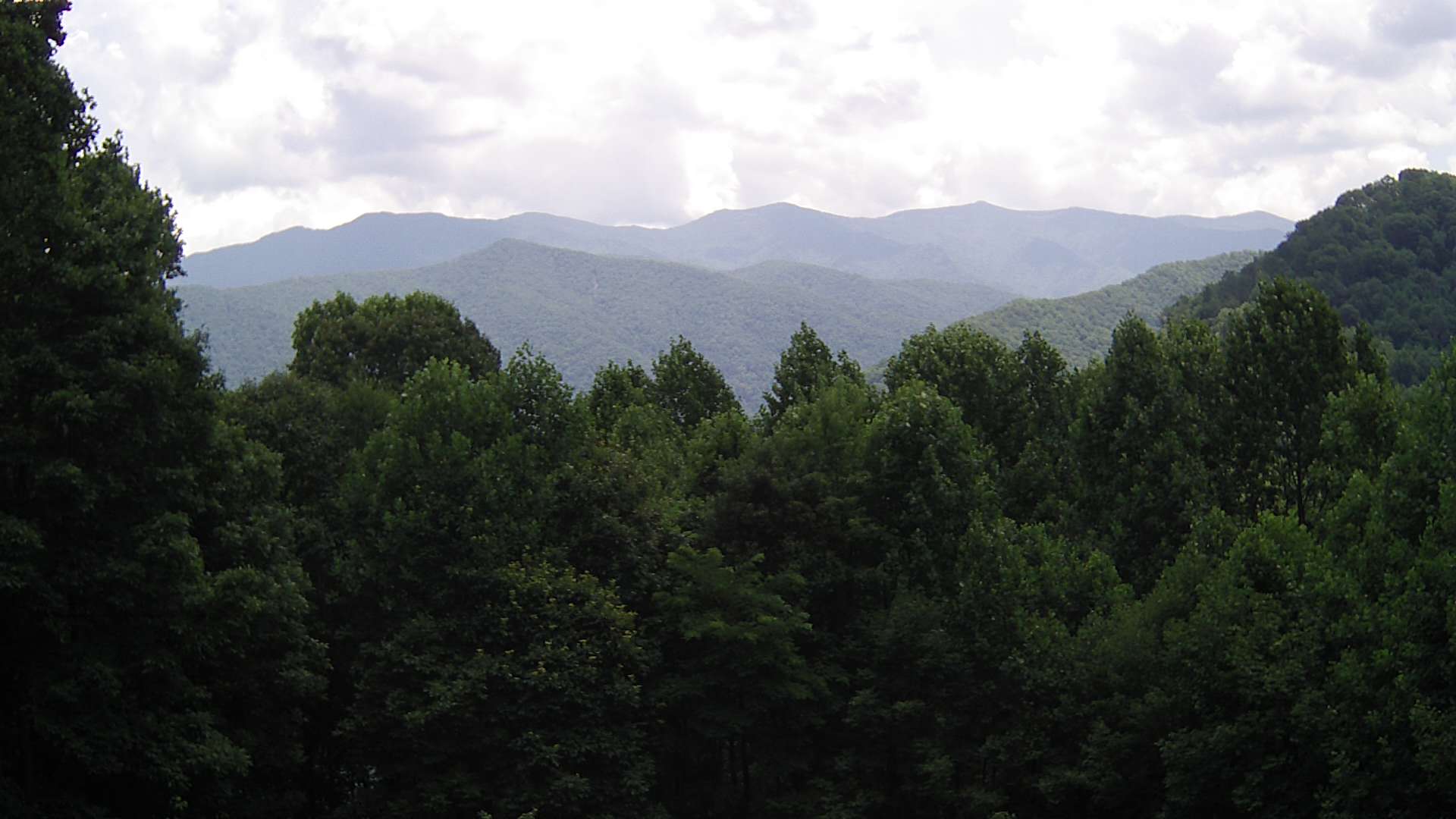 click for next image... slideshow image