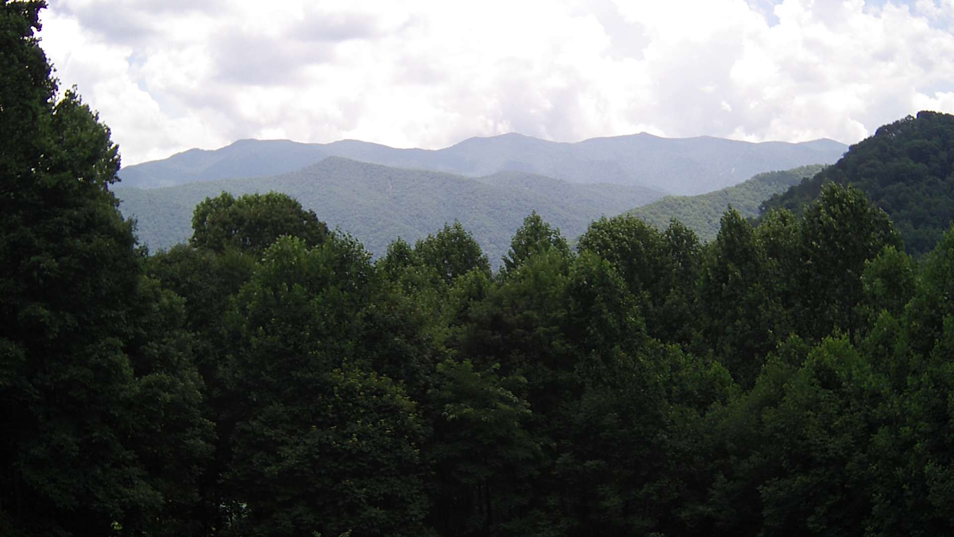 click for next image... slideshow image
