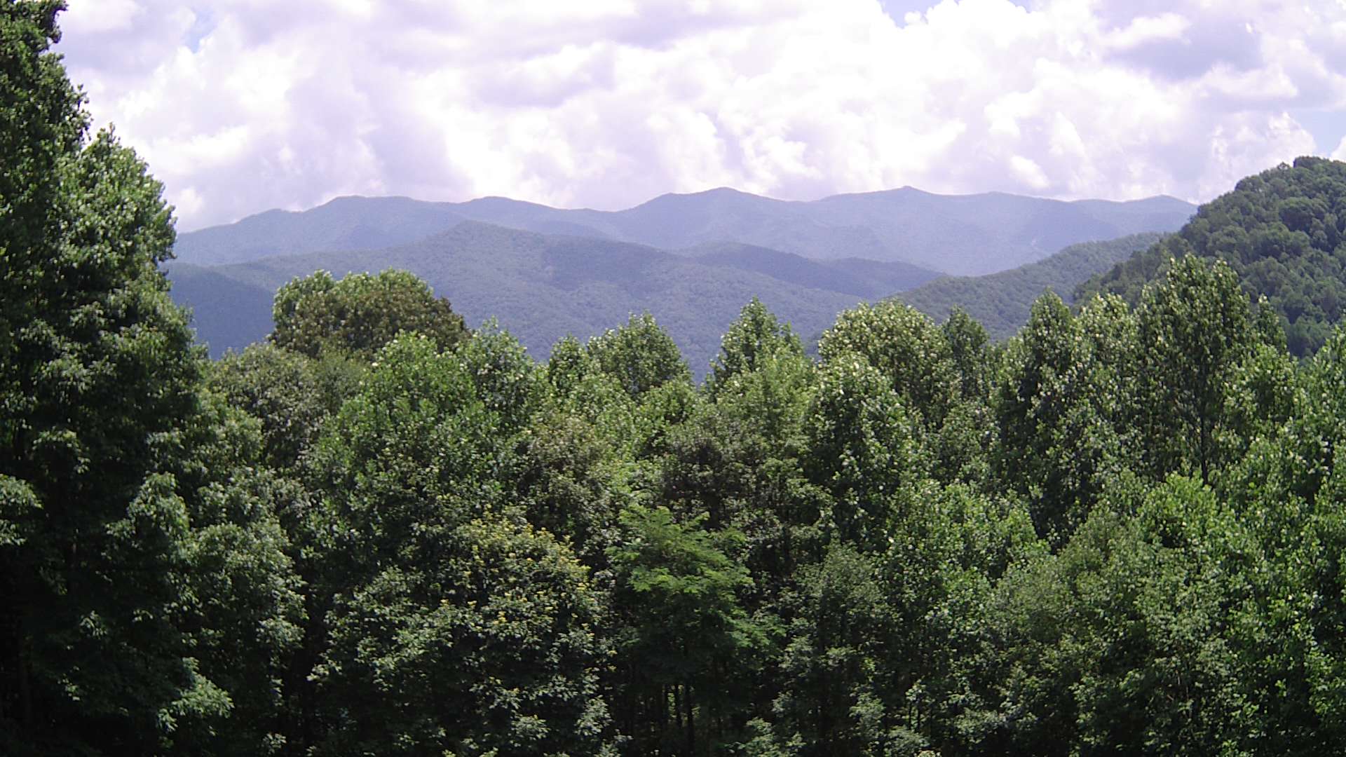 click for next image... slideshow image