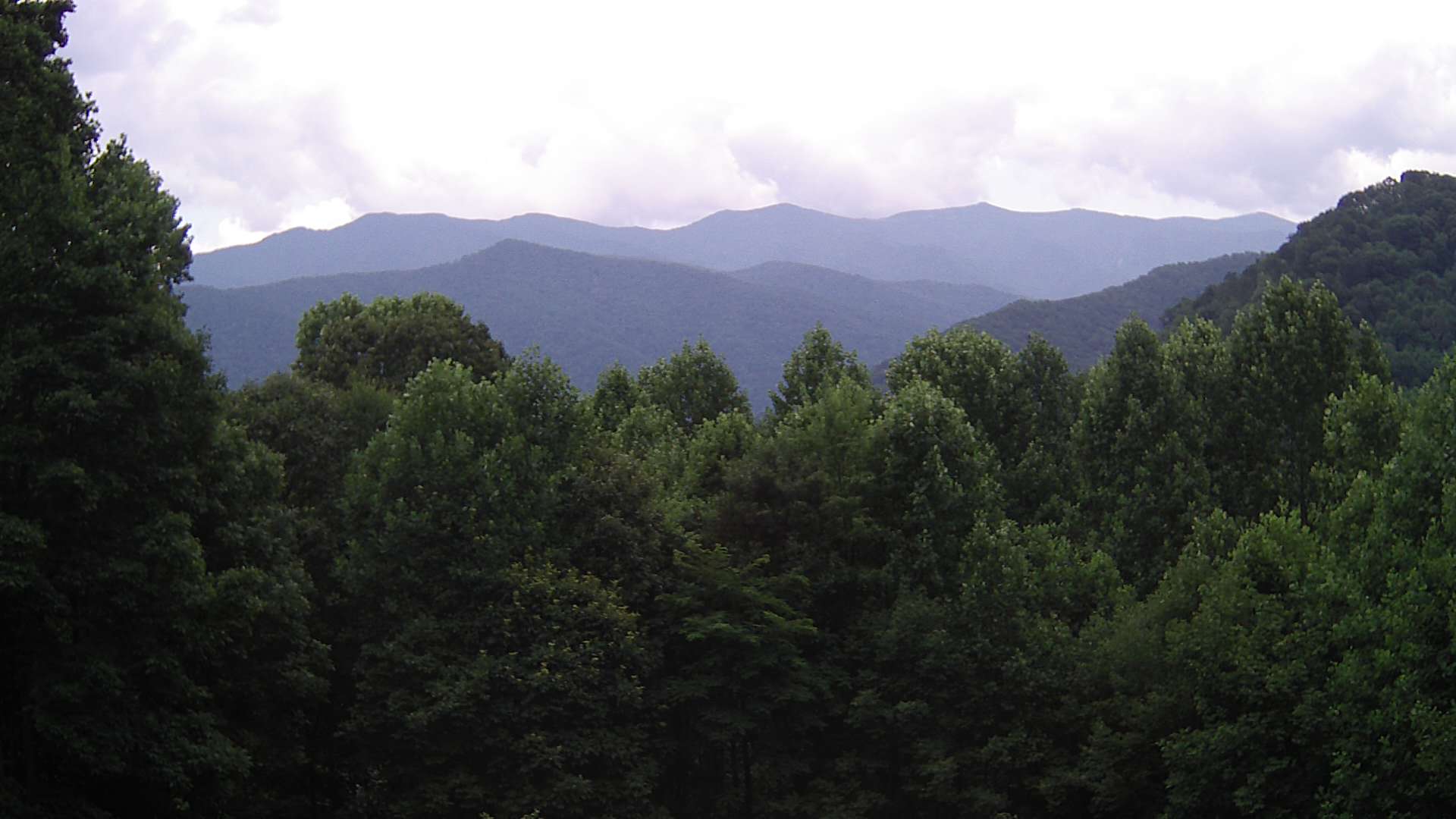 click for next image... slideshow image