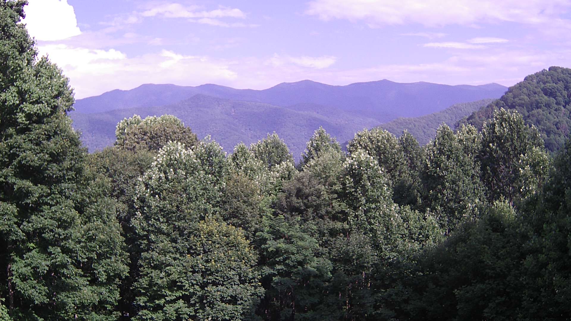 click for next image... slideshow image