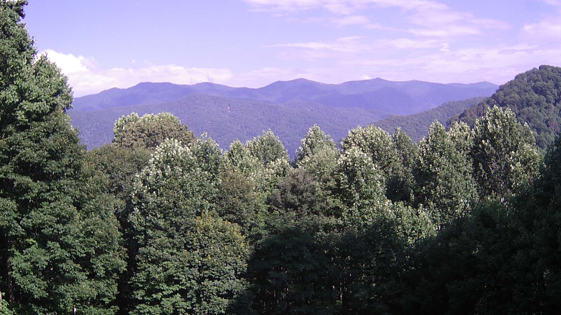 click for next image... slideshow image