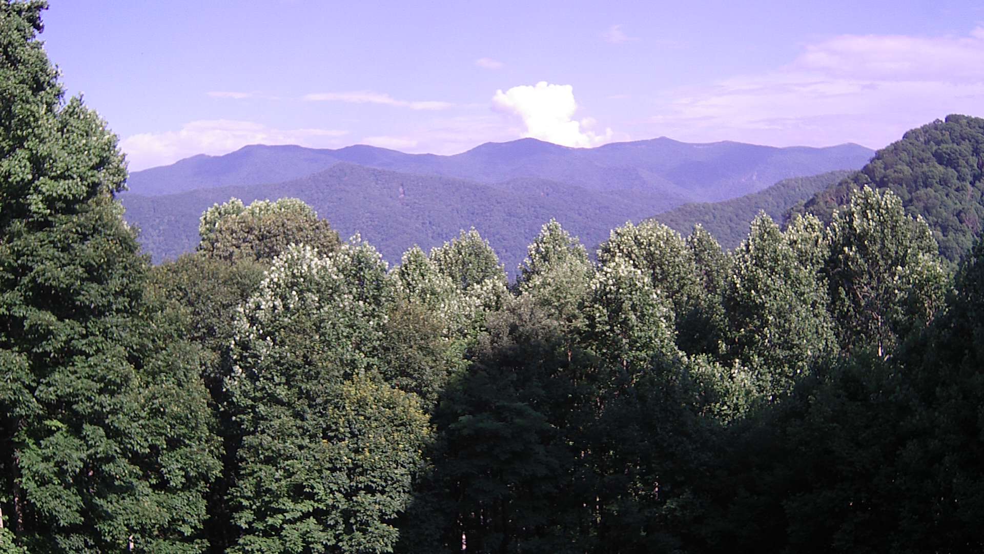 click for next image... slideshow image