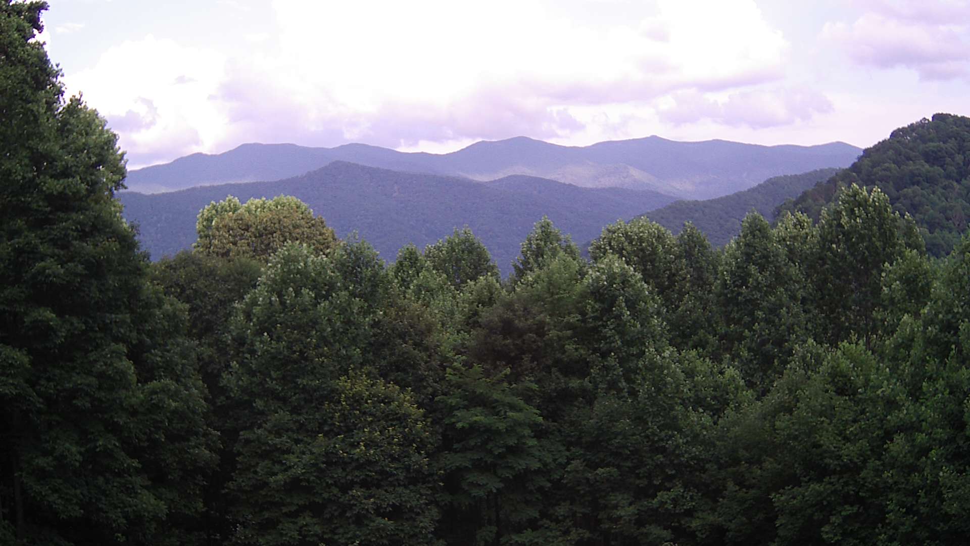 click for next image... slideshow image