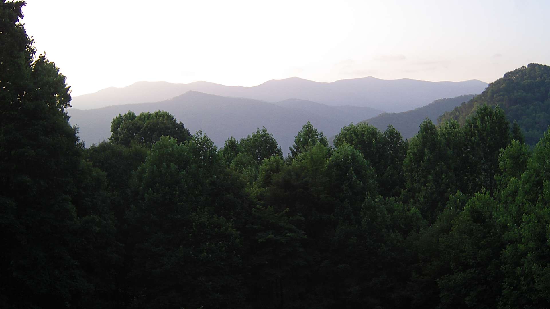 click for next image... slideshow image