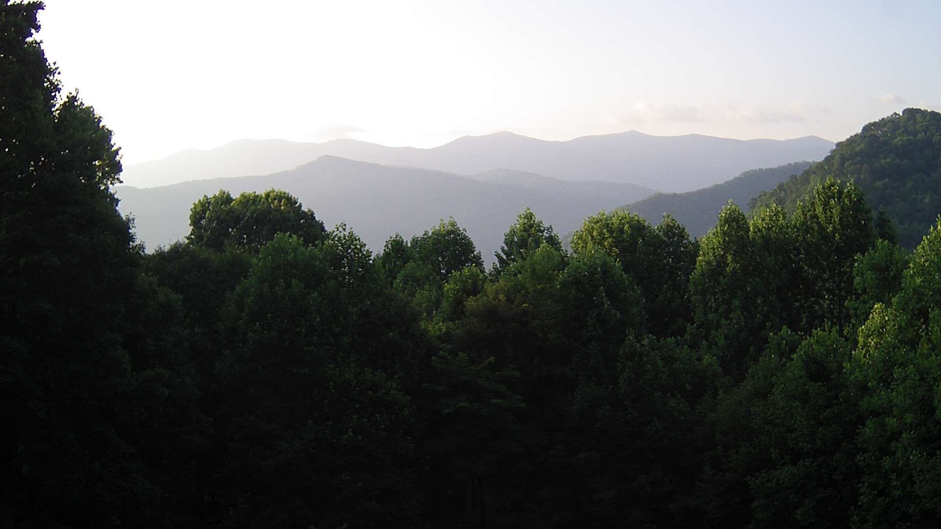 click for next image... slideshow image