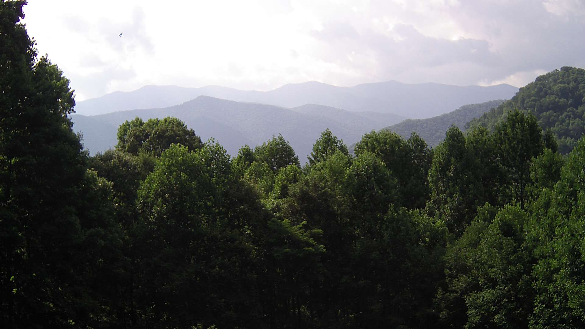 click for next image... slideshow image