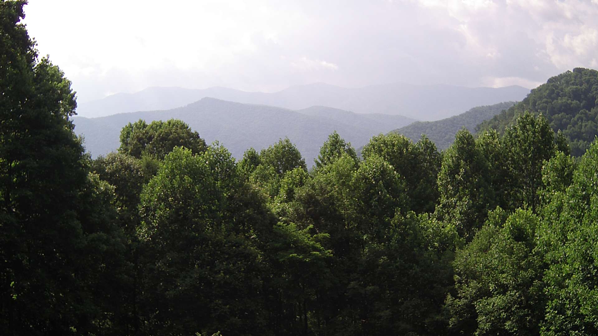 click for next image... slideshow image