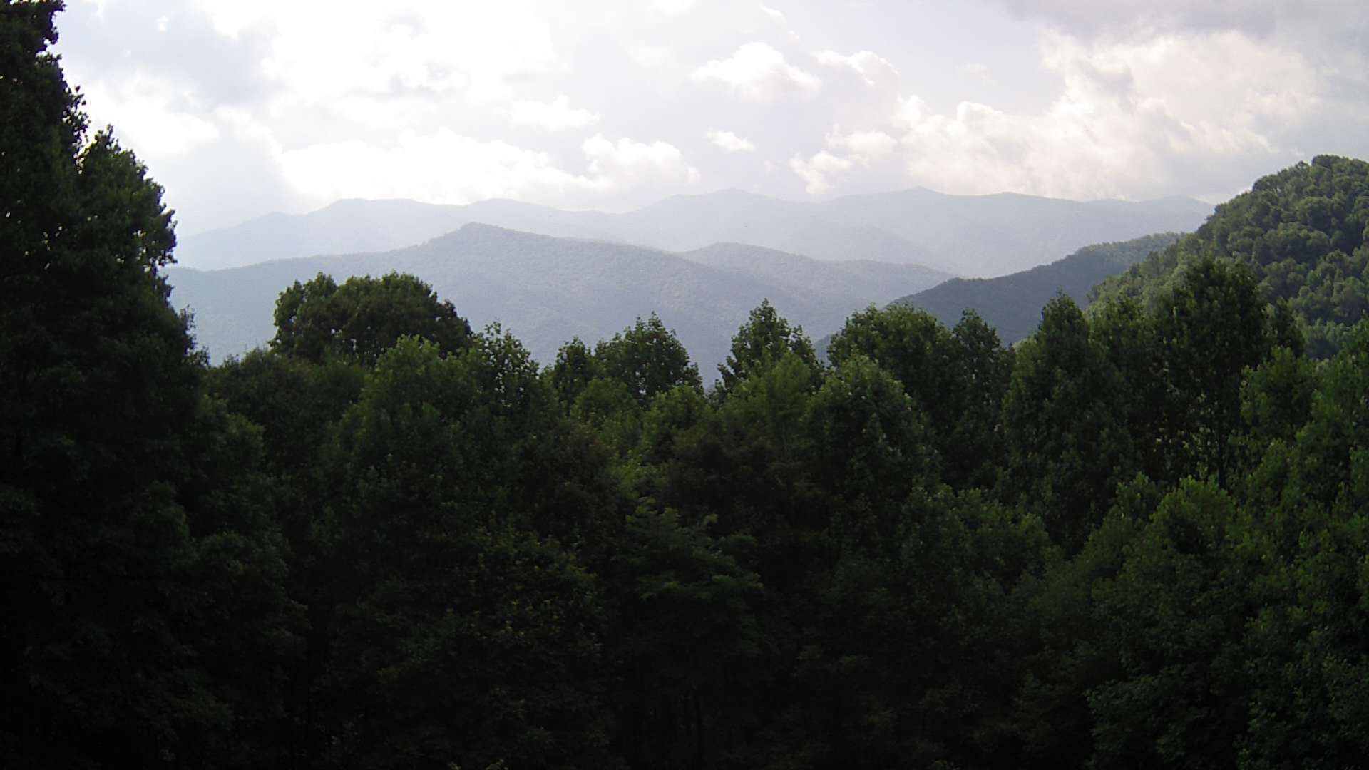 click for next image... slideshow image