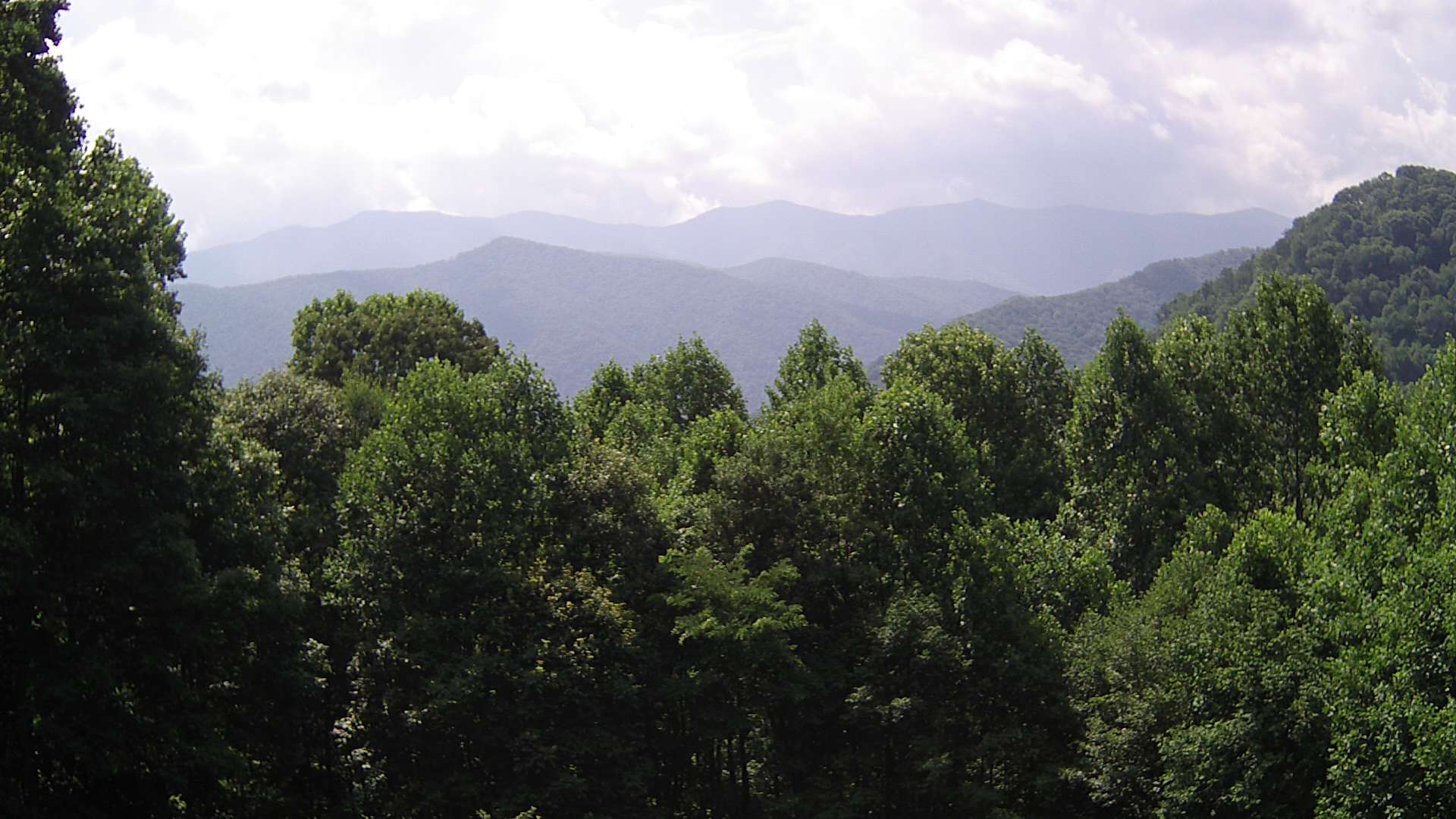 click for next image... slideshow image
