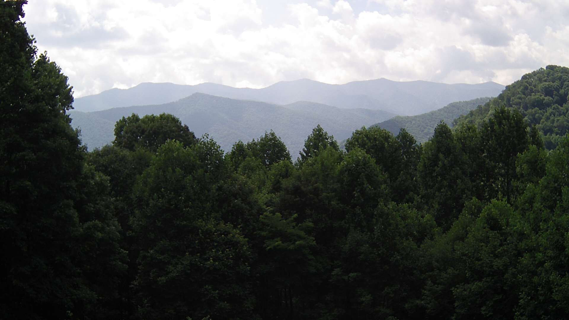 click for next image... slideshow image