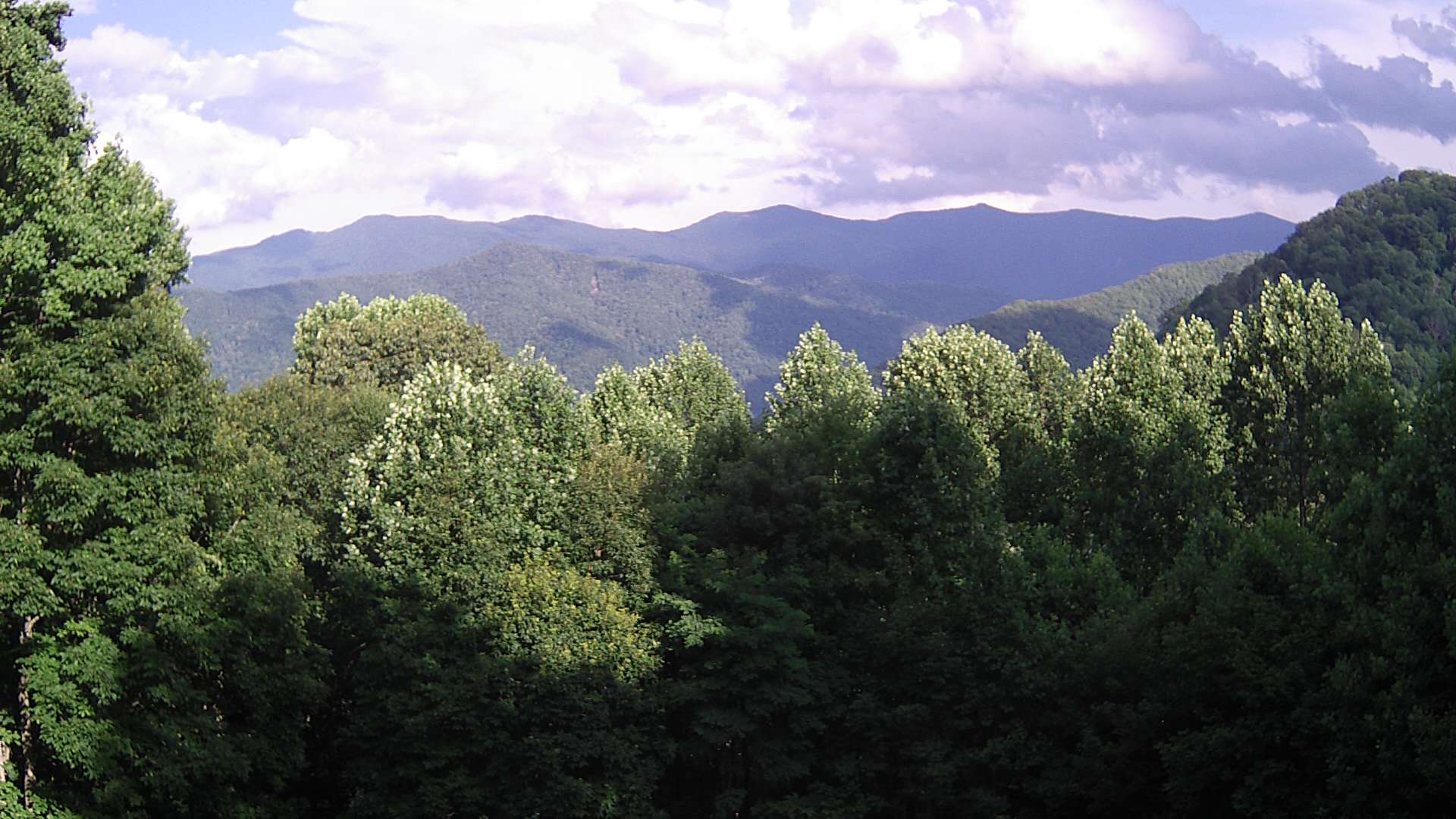 click for next image... slideshow image