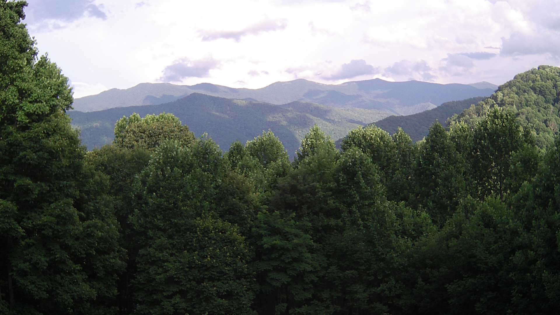 click for next image... slideshow image