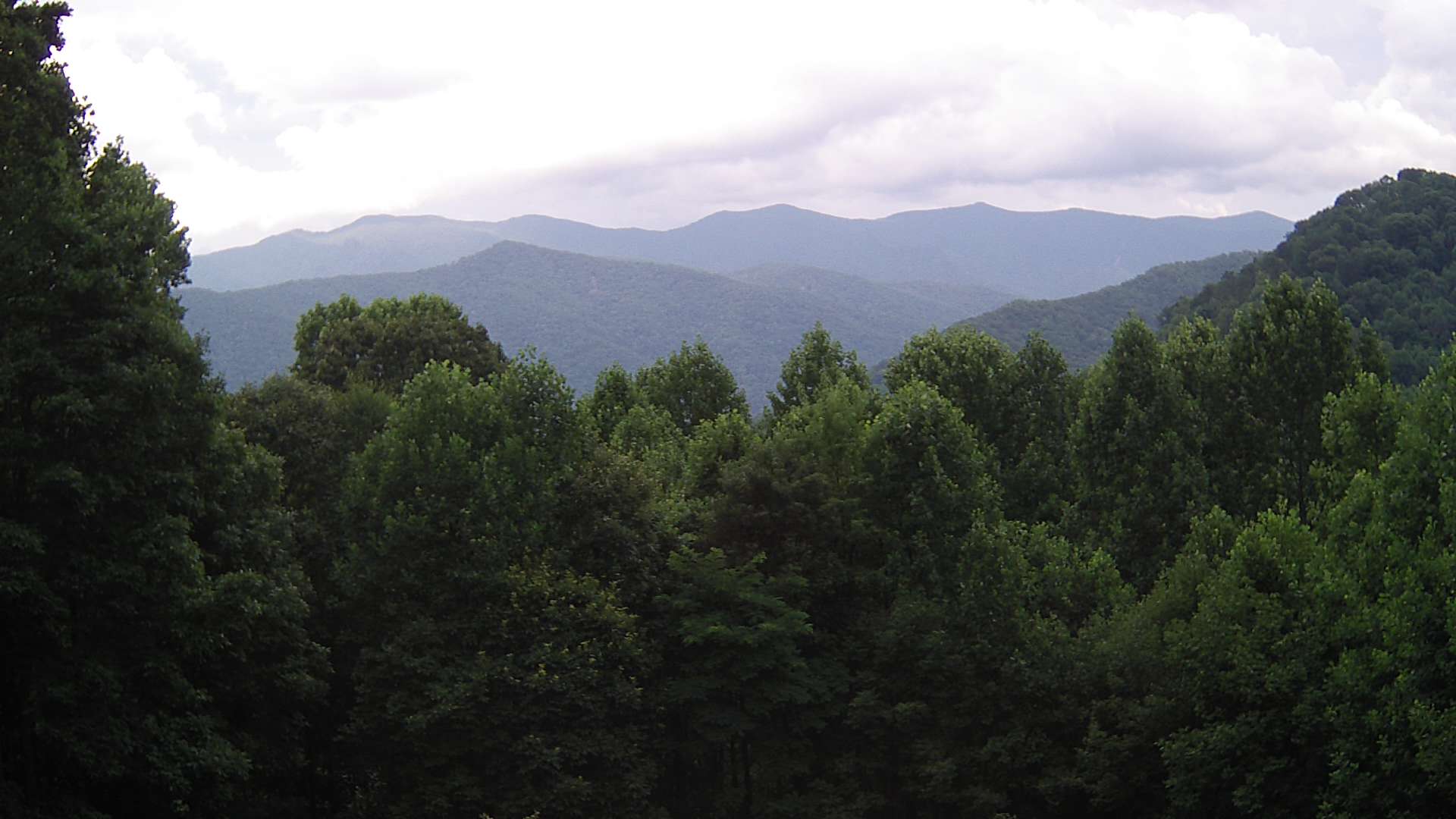 click for next image... slideshow image