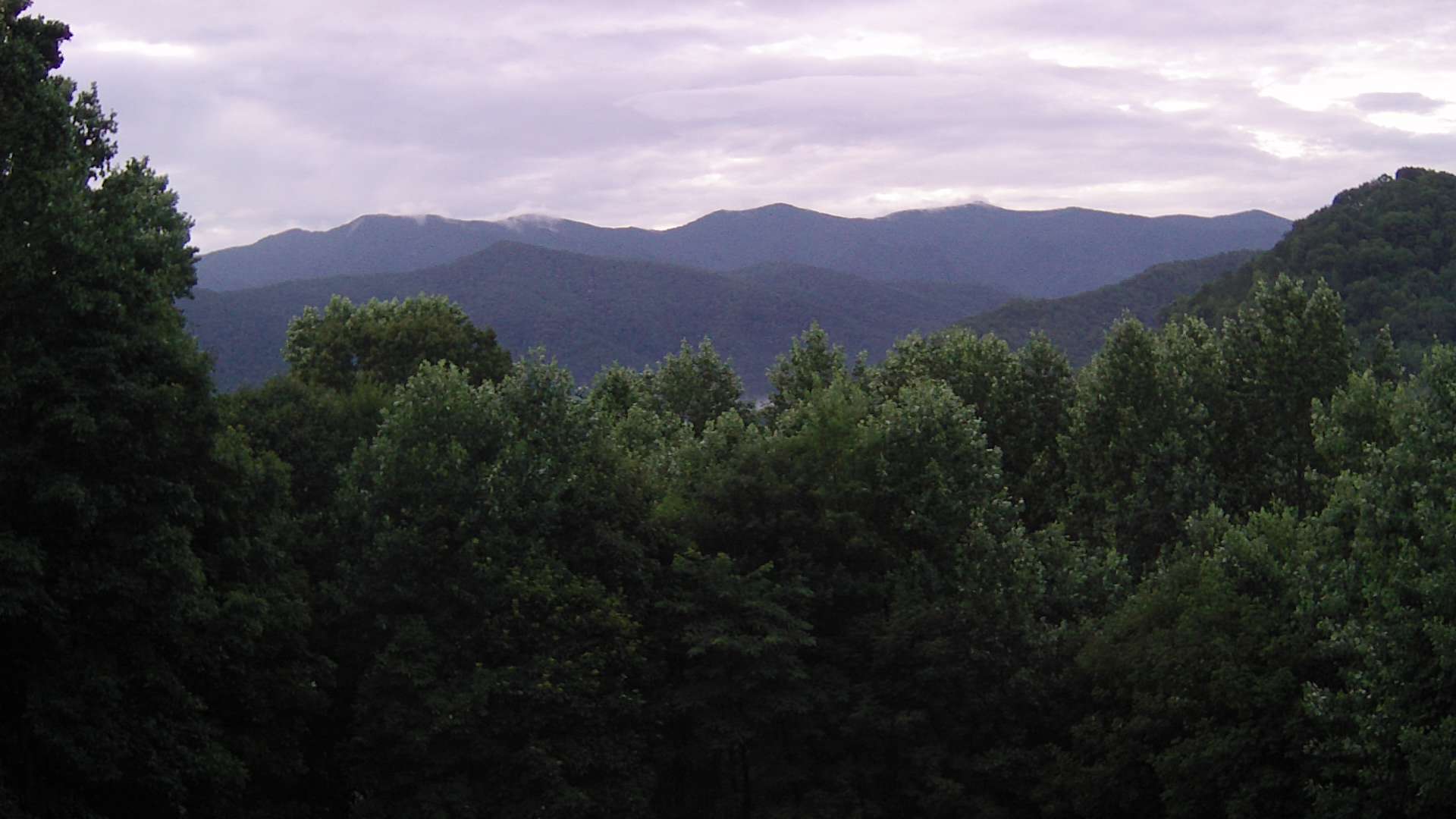 click for next image... slideshow image