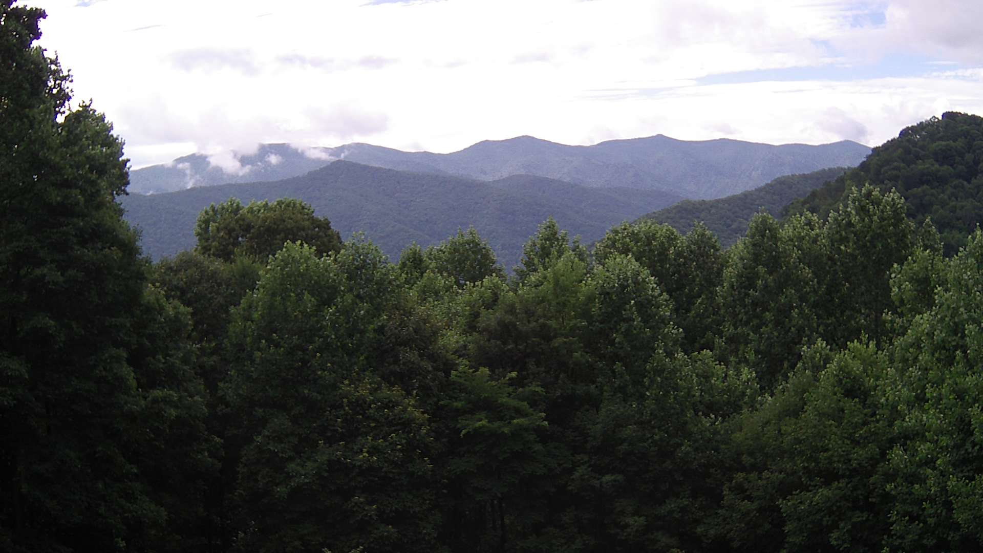 click for next image... slideshow image