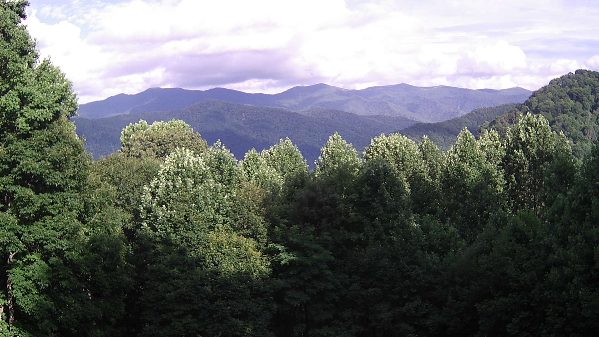 click for next image... slideshow image