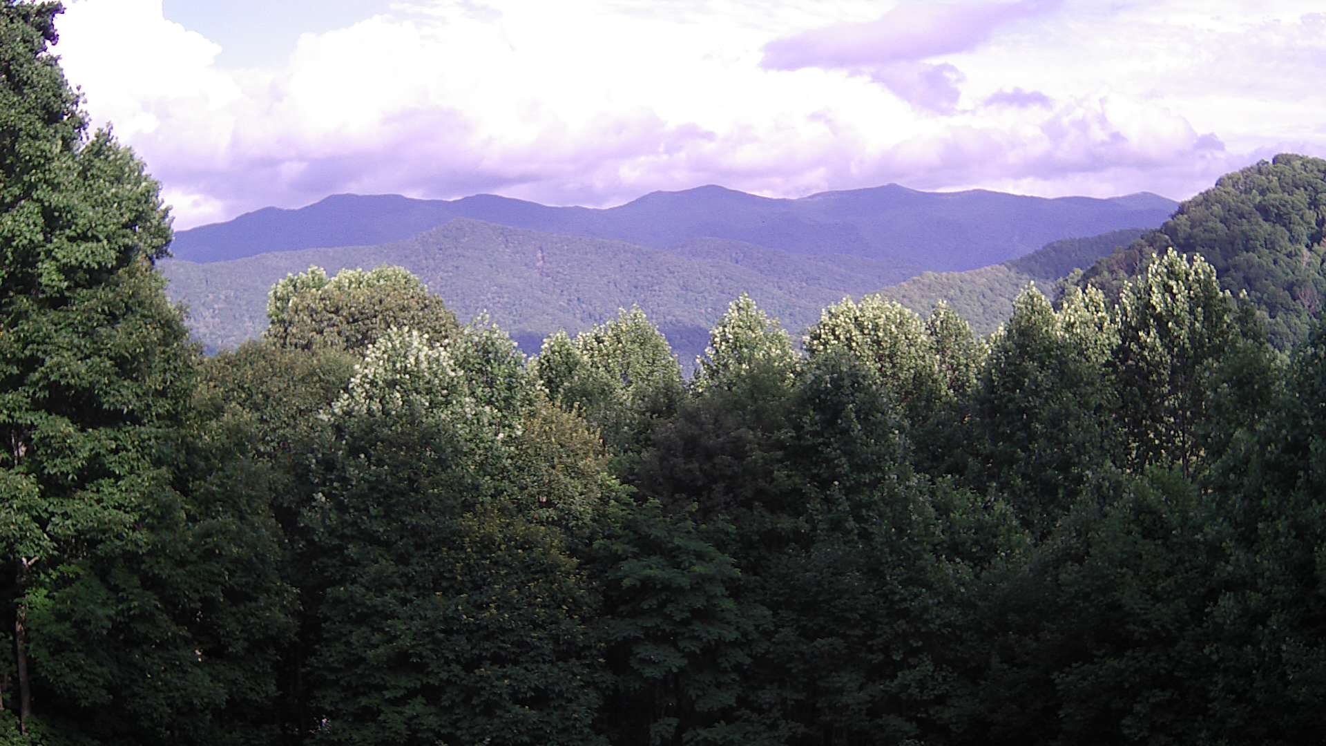 click for next image... slideshow image