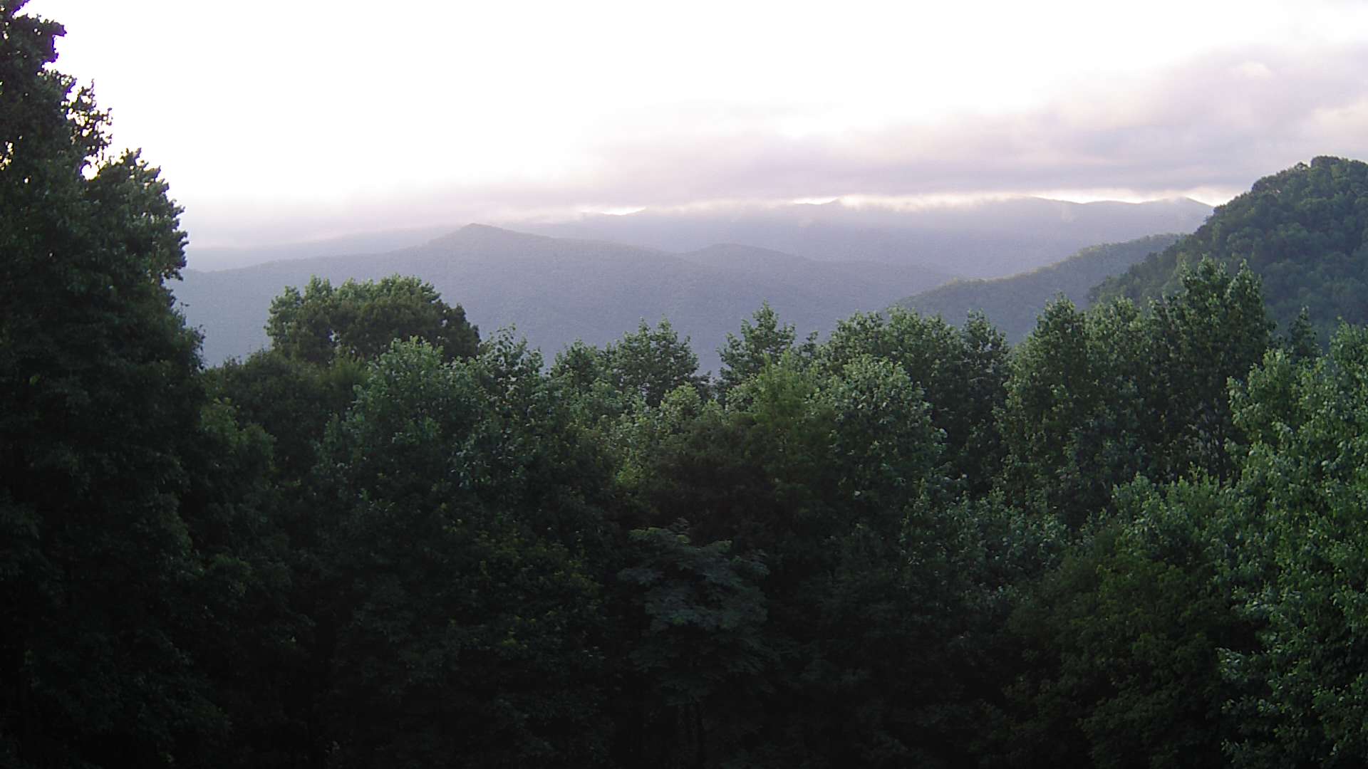 click for next image... slideshow image
