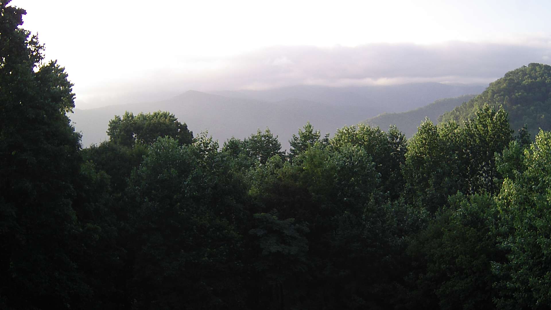 click for next image... slideshow image