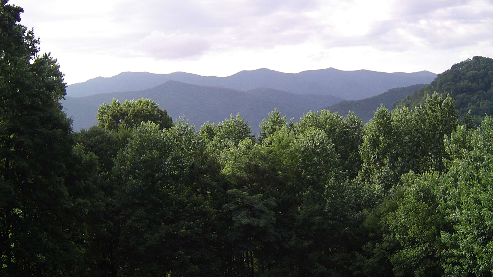 click for next image... slideshow image
