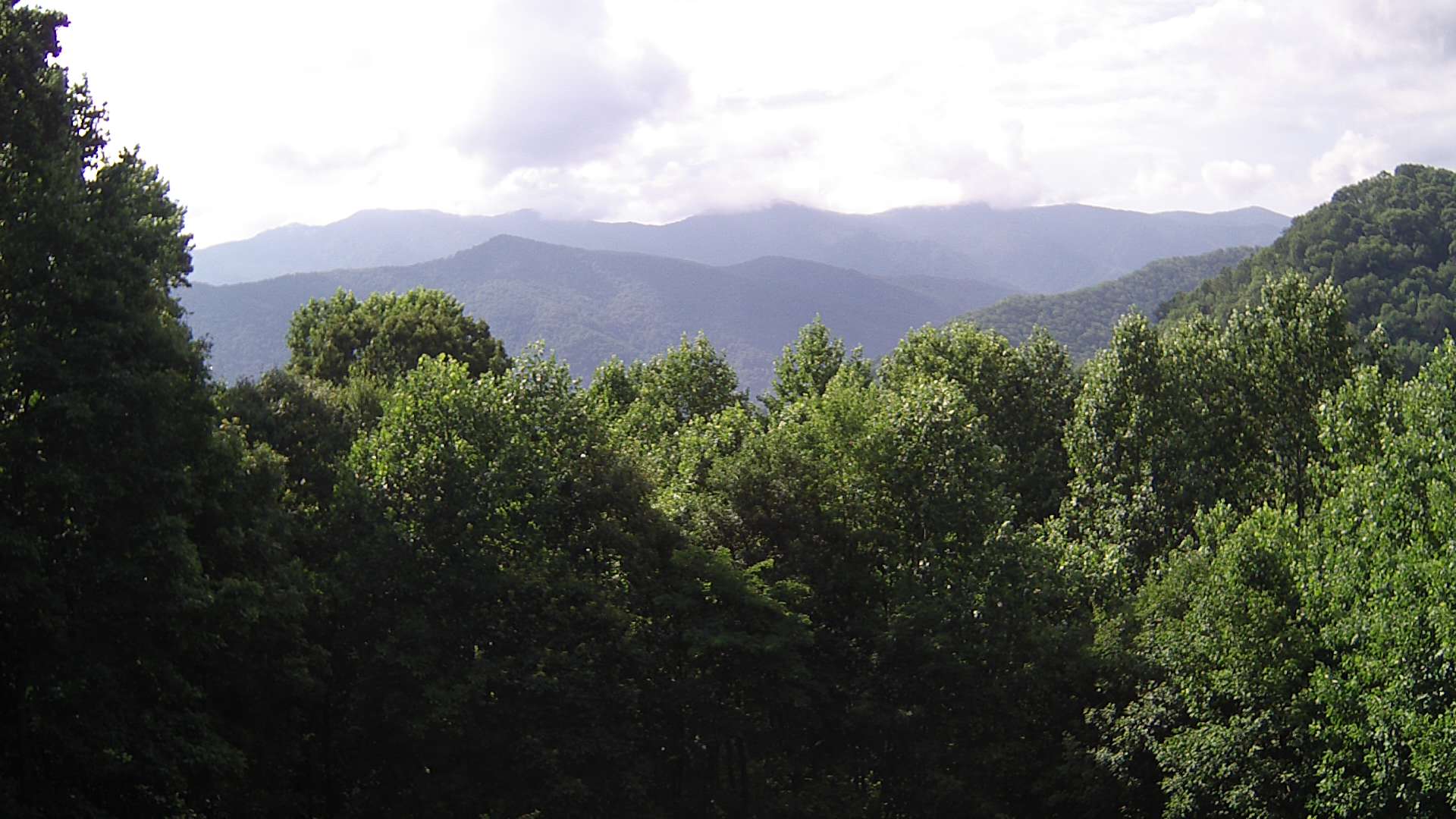 click for next image... slideshow image