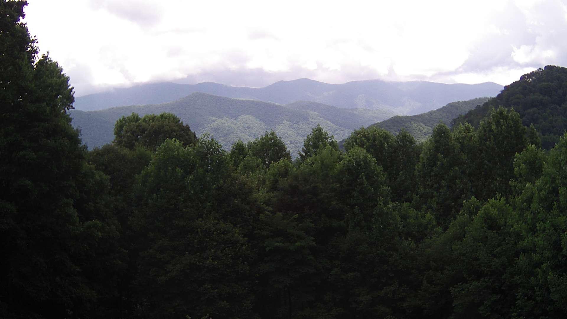 click for next image... slideshow image