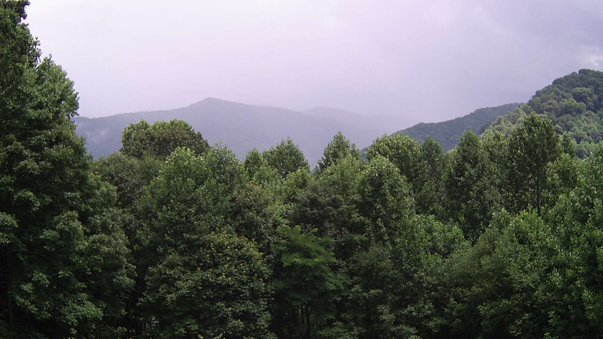 click for next image... slideshow image