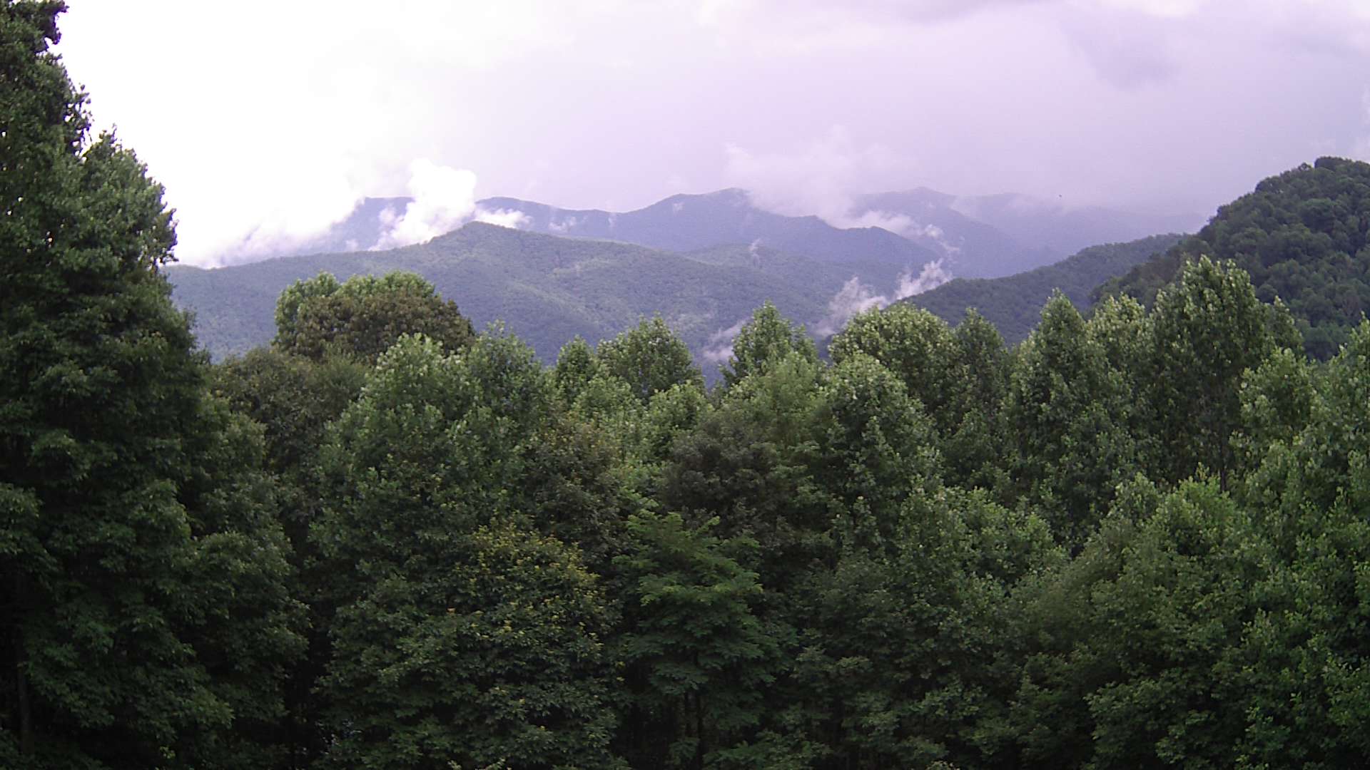 click for next image... slideshow image