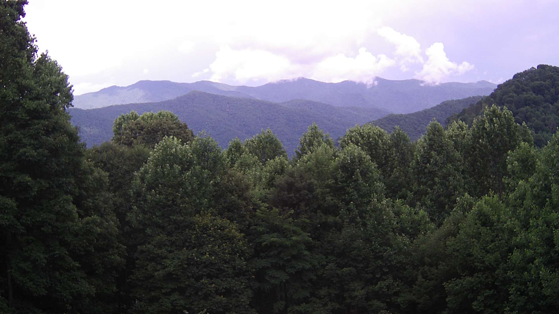 click for next image... slideshow image