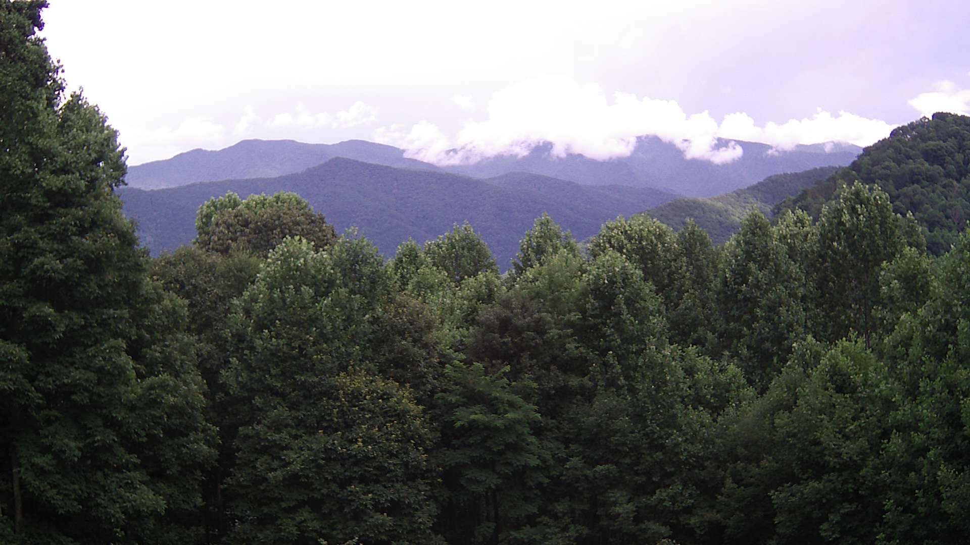 click for next image... slideshow image