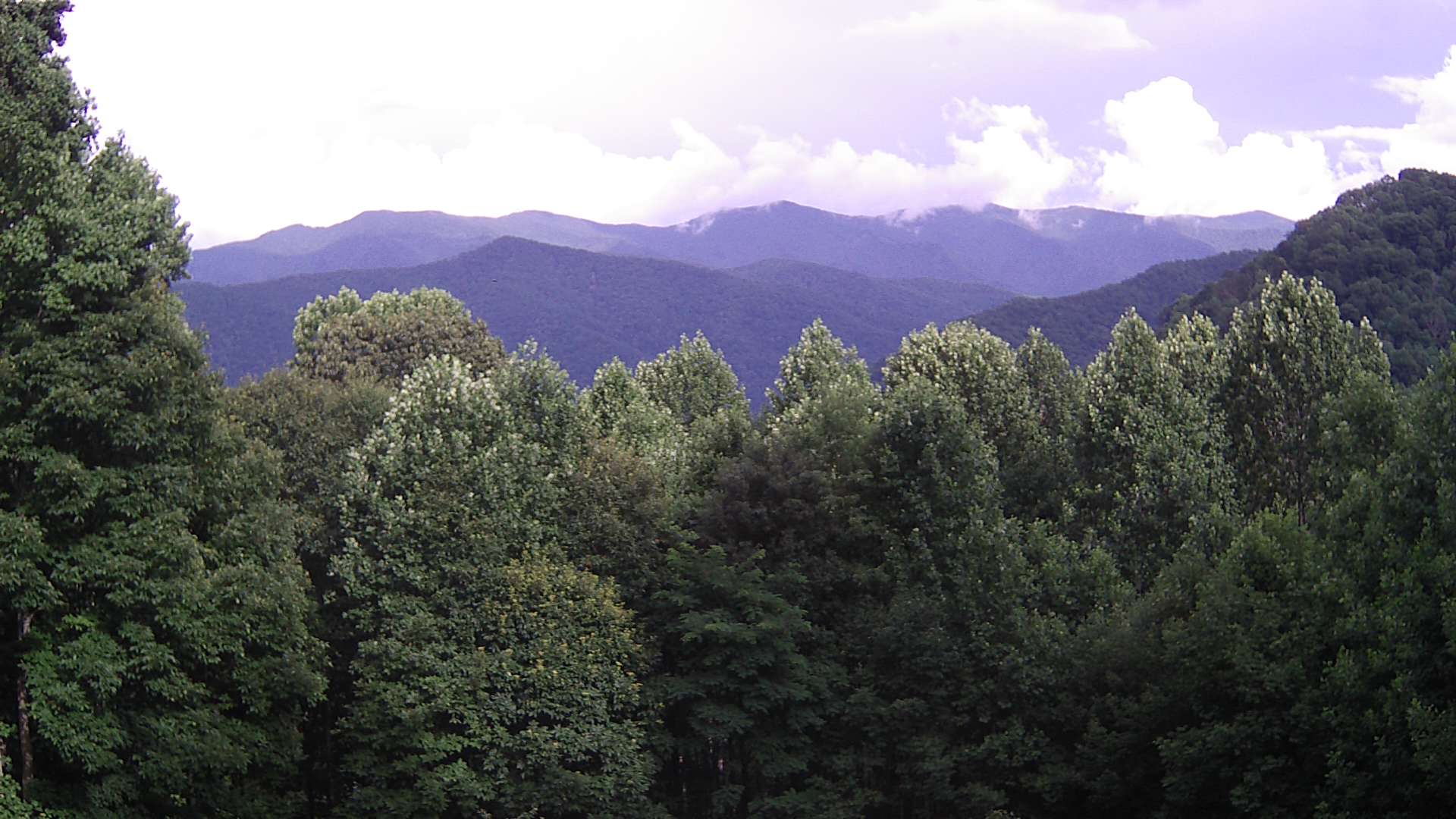 click for next image... slideshow image