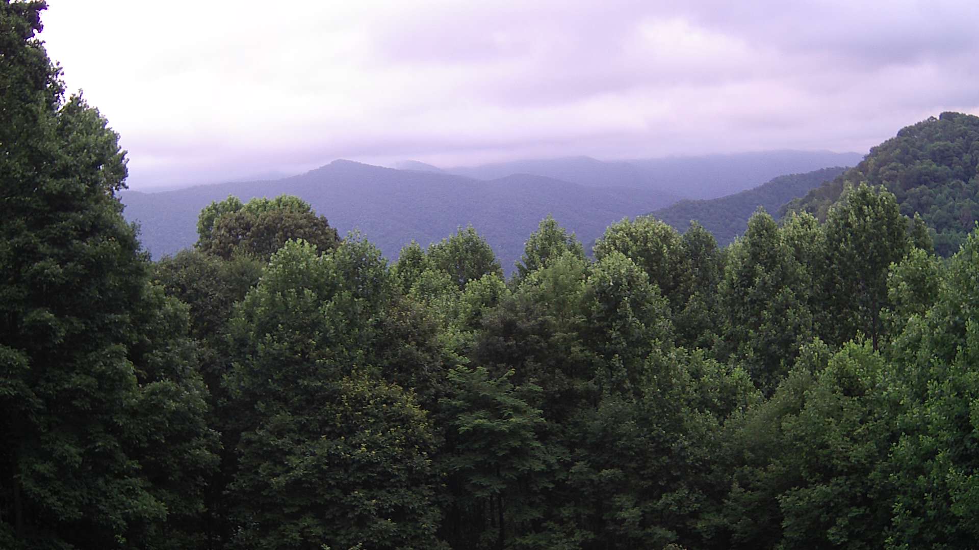 click for next image... slideshow image